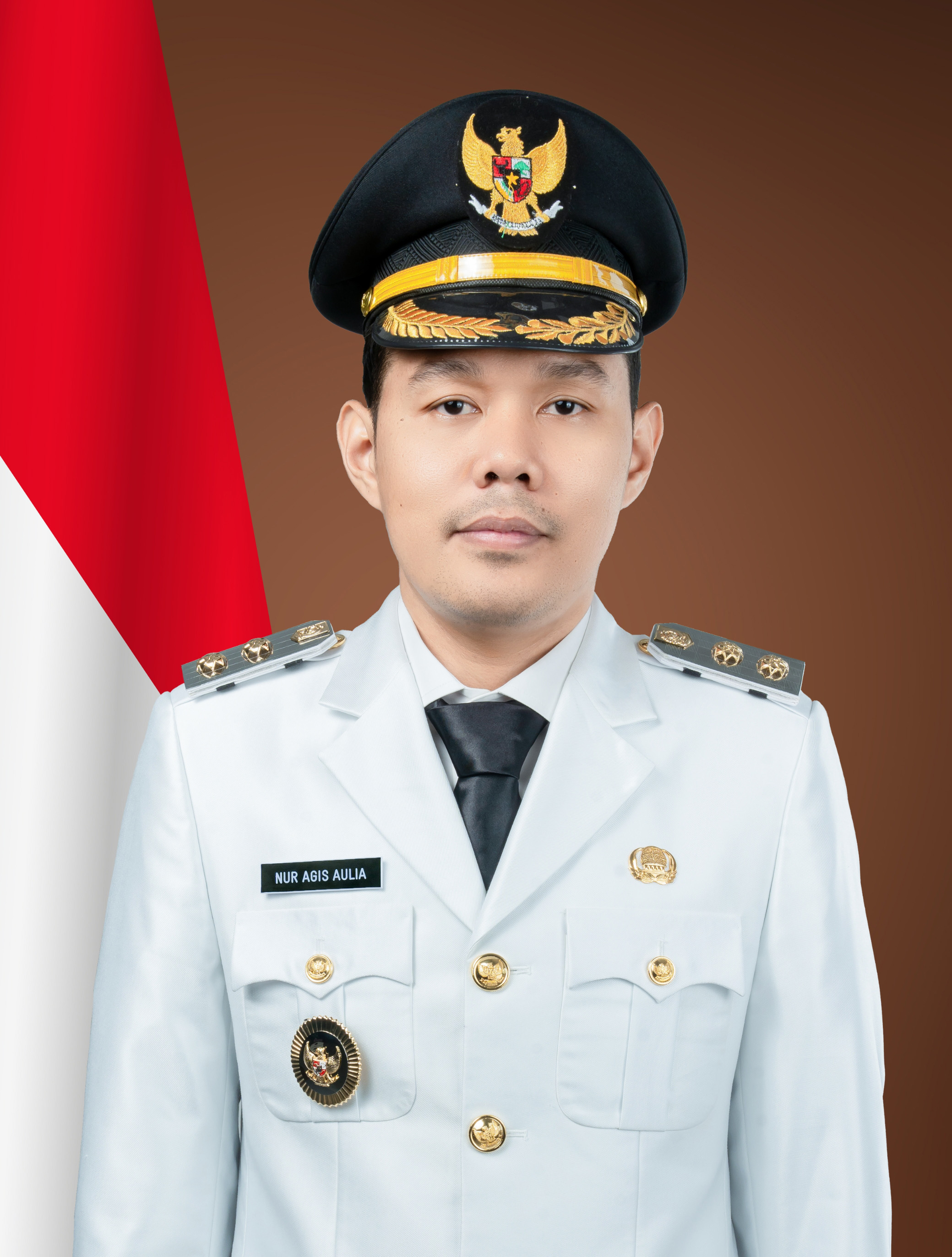 Profil Wakil Wali Kota Serang